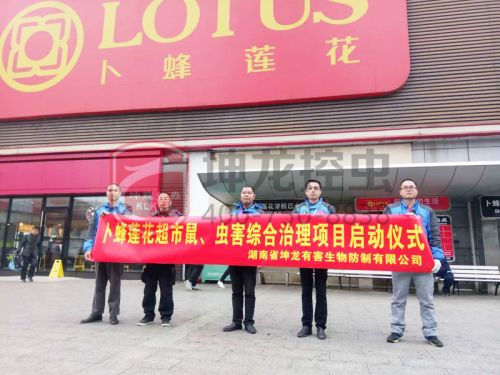 永州灭白蚁，永州杀虫公司 