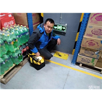 永州灭鼠电话 永州白蚁防治 