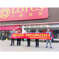 永州灭白蚁，永州杀虫公司 