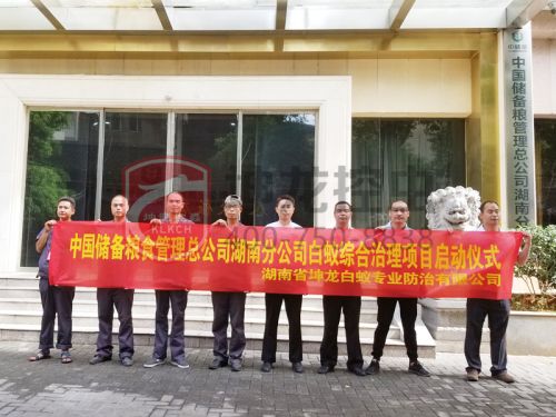 永州白蚁防治 永州专业灭鼠公司电话 