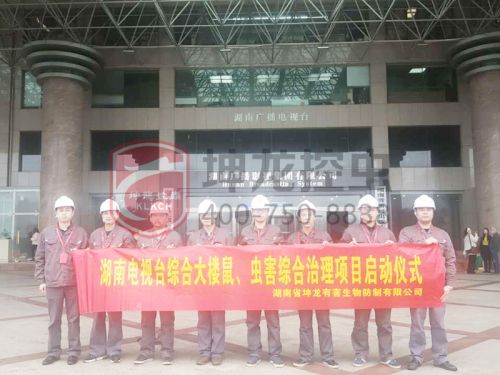 永州灭鼠电话 永州白蚁防治 