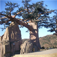 常德假山假树，常德仿真溶洞工程 