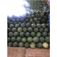 开封西瓜代办价格贵吗 