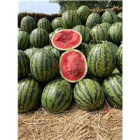 夏邑美都西瓜代办