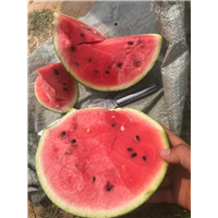 河南美都价格便宜 