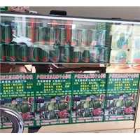 河南西瓜代办介绍吃西瓜对胖人更有益 