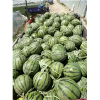 开封京欣西瓜代办，开封西瓜