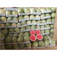 西瓜比较适合怎样的生长环境 