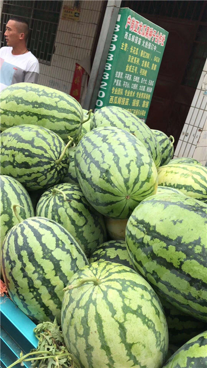 河南西瓜代收真方便 
