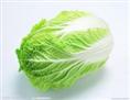 湖北白菜价格|武汉白菜代收 