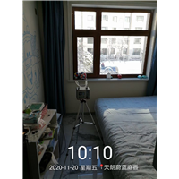 天水正规除甲醛公司