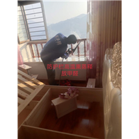 正规除甲醛公司 