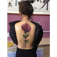 大秦tattoo刺青-玫瑰 