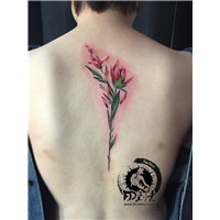 大秦tattoo刺青 