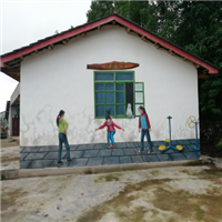 重庆样板房壁画 