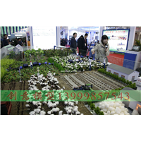 新疆沙盘模型 