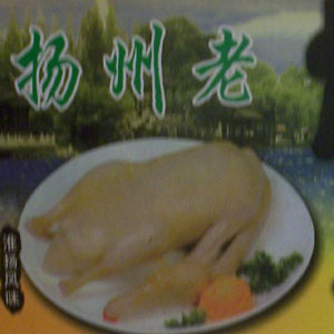 鹅苗-宏兴鹅业7 
