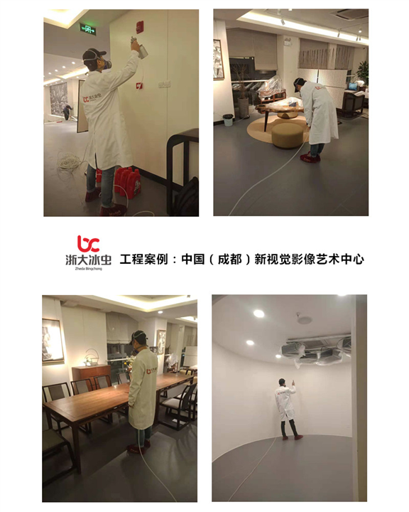 新视觉影像艺术中心甲醛治理 
