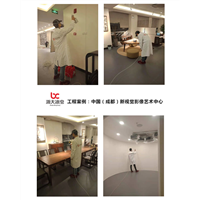 新视觉影像艺术中心甲醛治理 