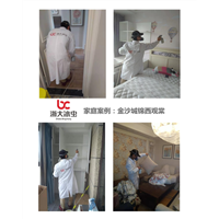 金沙城锦西观棠甲醛治理 