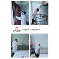 洲际银海湾甲醛治理 