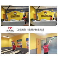 纽斯小新星英语甲醛治理 