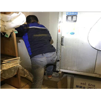 绍兴消杀公司