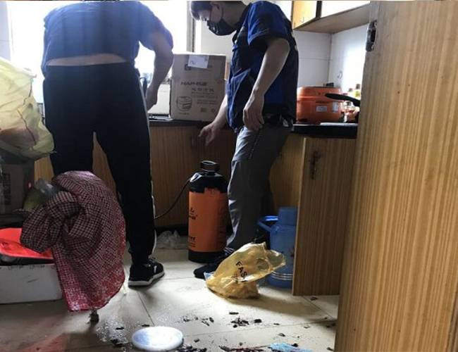 上虞灭白蚁公司讲解白蚁和蚂蚁有哪些区别