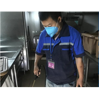 绍兴灭鼠电话