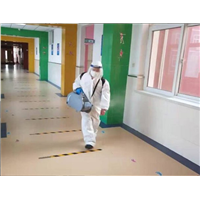 绍兴专业灭鼠公司