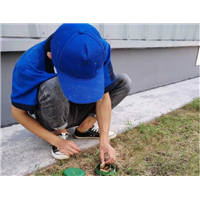 上虞杀虫公司告诉你什么样体质的人招蚊子