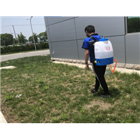 绍兴灭四害公司