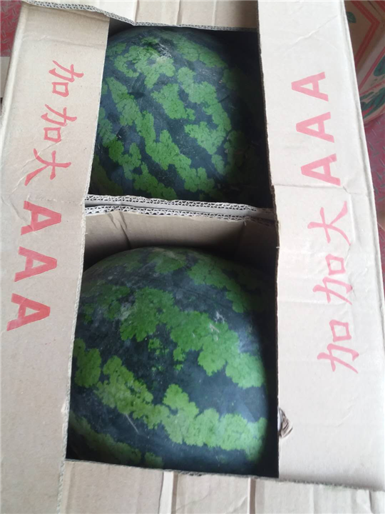 吐鲁番西瓜代办