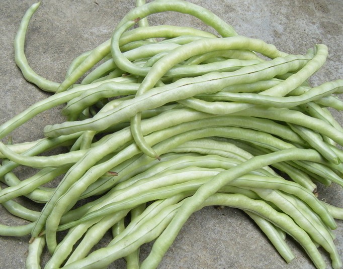 豆角-石狮蔬菜配送/石狮蔬菜加工切配7