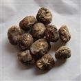 闲杂类-泉州蔬菜配送/泉州蔬菜加工切配3