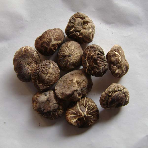 闲杂类-泉州蔬菜配送/泉州蔬菜加工切配3