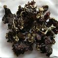闲杂类-泉州蔬菜配送/泉州蔬菜加工切配8