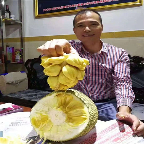 台湾大梦尖榴莲蜜批发