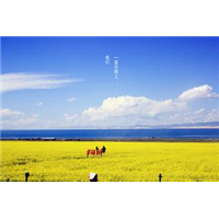 青海旅游包车丨青海包车师傅