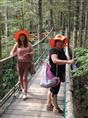 夏季长白山景色