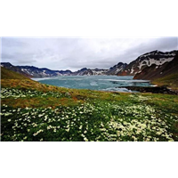 长白山旅游包车师傅 