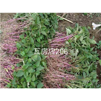 瓦房店206