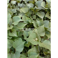 瓦房店206