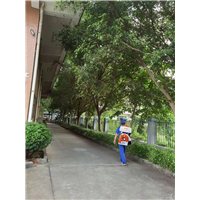 番禺灭蟑螂