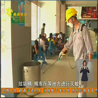 白云区害虫防治哪里好