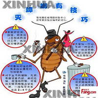 白云区蟑螂防治灭治