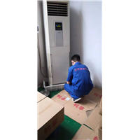荔湾灭蟑螂