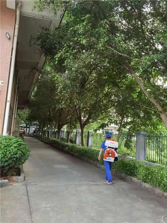番禺灭蟑螂