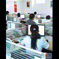 专线运输电话13756169098曲靖至南充货运 