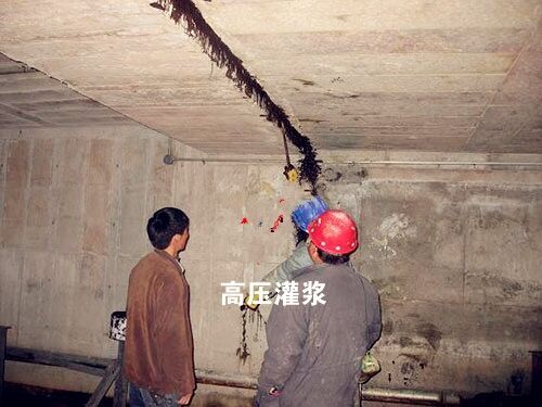 玉环专业防水补漏公司